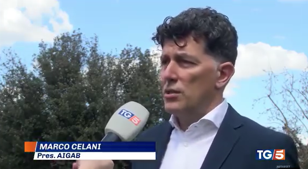 Turismo, overtourism e dibattito sui canoni – TG5